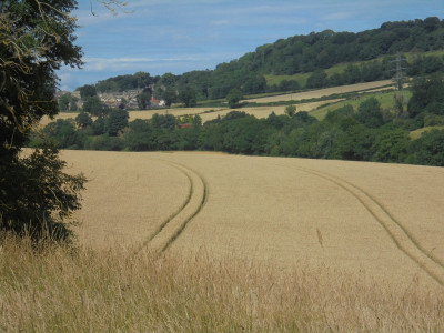 Falcon Original<br />Tractor Tracks of the Day