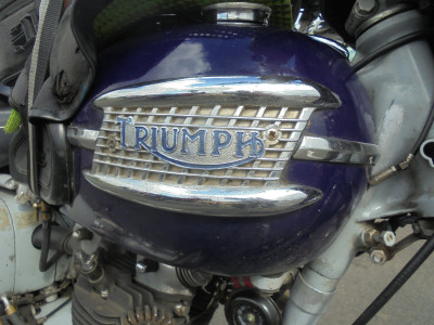 Falcon Original<br />Triumph tank Badge<br />Triumph Thunderbird