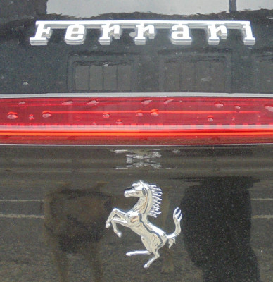 Falcon Original