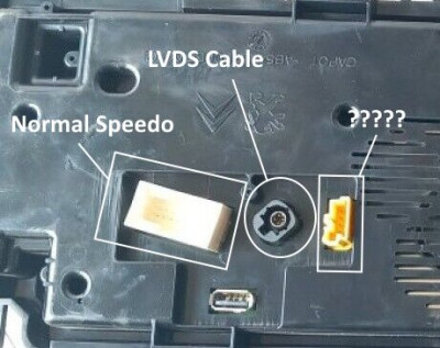 Speedo.jpg