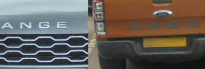 Falcon Original