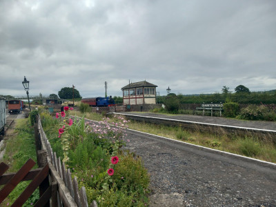 20230804_105251.jpg