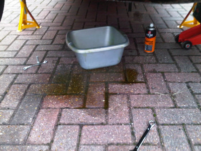 IMG00871-20100827-1849.jpg