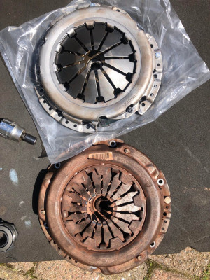 Skull's = Before And After
