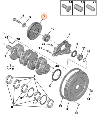 Derby Cran A.PNG