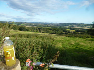 Falcon Original<br />M&amp;S Pineapple and Grapefruit Drink<br />Enjoying the view!