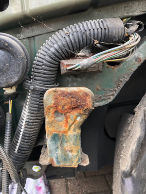 Skull’s - rust from wing