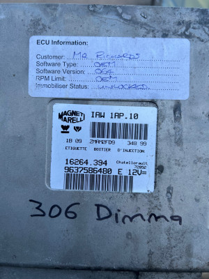 306 ECU.jpeg