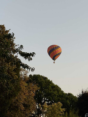A balloon over the house this evening - own work