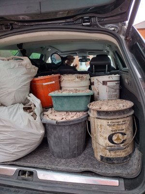 I've been off to the tip! :)