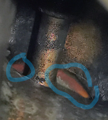 Orange ring