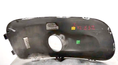 c3 pic fog insert.PNG