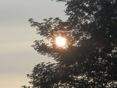 John Keats...To Autumn<br />"Close bosom-friend of the maturing sun"