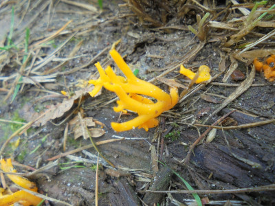 DSC04939.JPG
