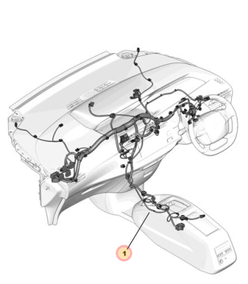 jordy Fascia Harness.PNG