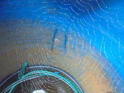 Waterbuttweb