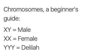 YYY.jpg
