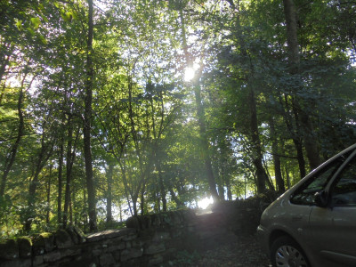 DSC05109.JPG