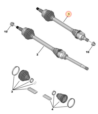 David CV Joint.PNG