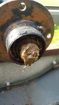 Grease probably rather overselling this crud inside the wheel bearing.