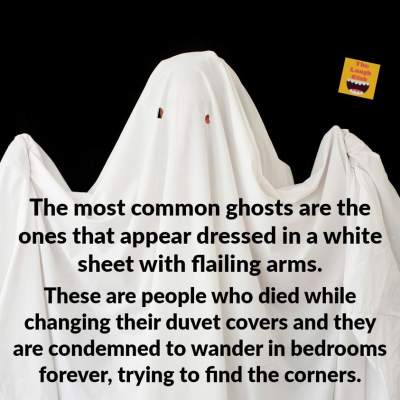 1698478350056.png