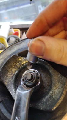 7mm Allen bites the dust