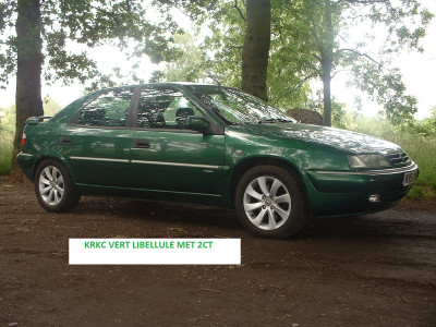 Skull's Xantia
