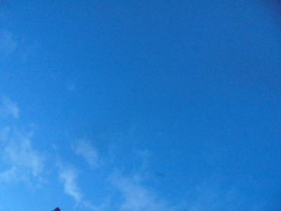 Bat photography fail
