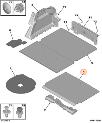 Billsy carpet.PNG