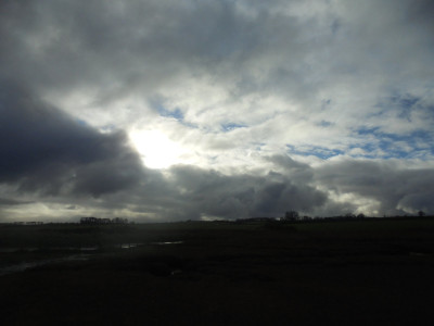DSC05317.JPG