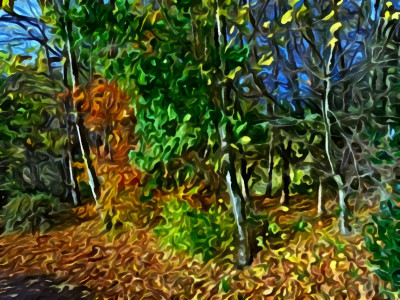 Autumn 2023-A small corner of Sainsburys