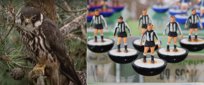 montage, BTO video screenshot/ebay sale item