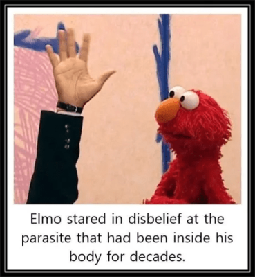 Elmo.png