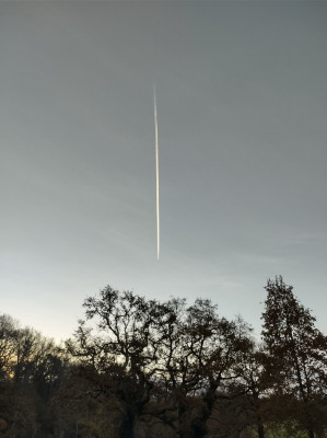 High flyer - own work