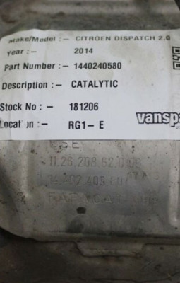 online pic of identical dpf/cat not sure what it is