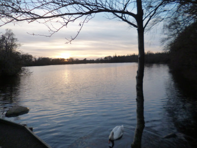 The lake