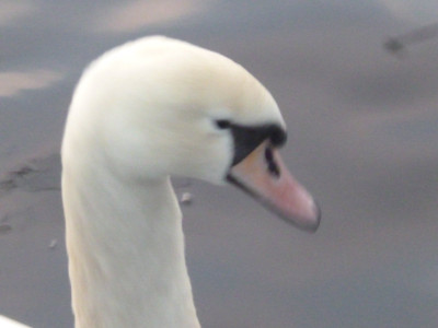 Unintentional soft focus