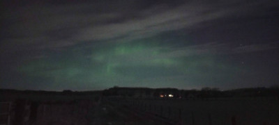 IMG_20231125_194056641.jpg
