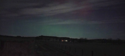 IMG_20231125_193816792.jpg