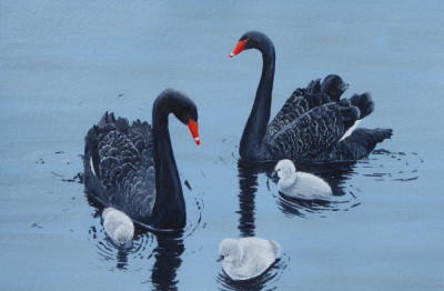 BFTW - A Dawlish family