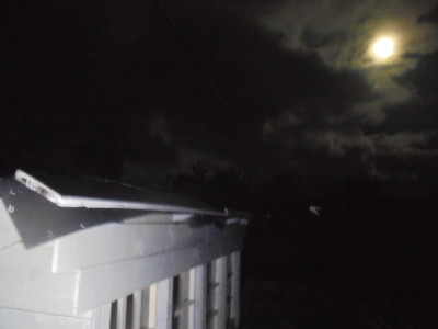 Straight out the Camera<br />Behind the signal box white