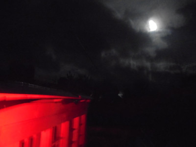 Straight out the Camera<br />Behind the signal box red