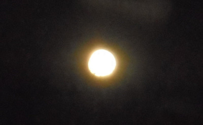 moon.jpg