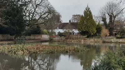 A pond, today - own work