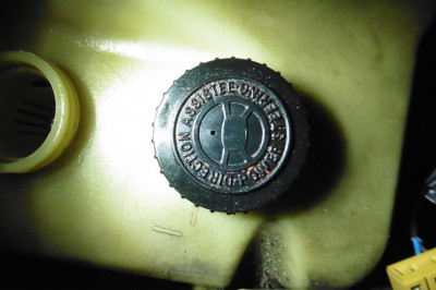 P09.jpg