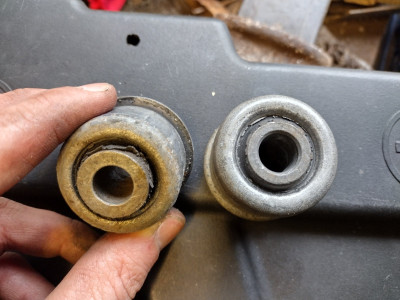Old bush (have hold of) Vs new