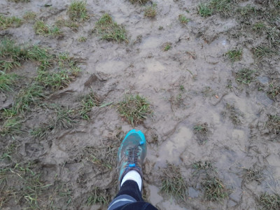 shoes1512.jpg