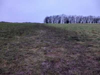 20231216_075231.jpg