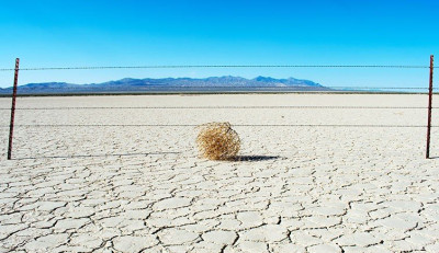tumbleweeds.jpg