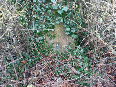 20240107_125704.jpg
